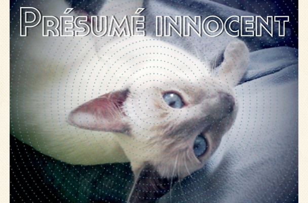 chat_innocent