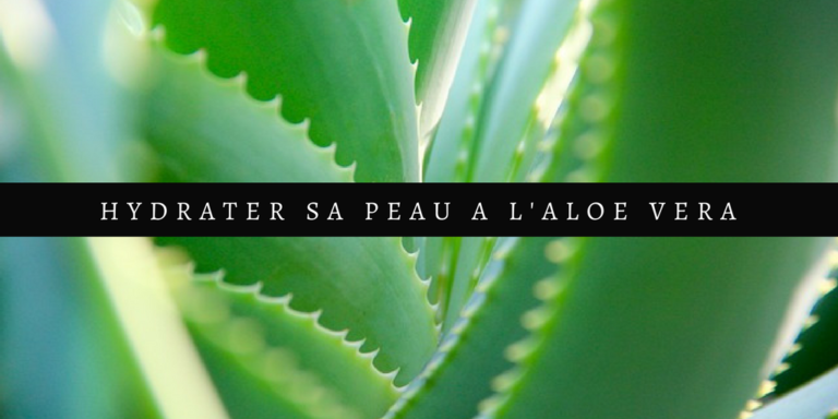 Nourrir sa peau déshydratée avec de l’aloé vera