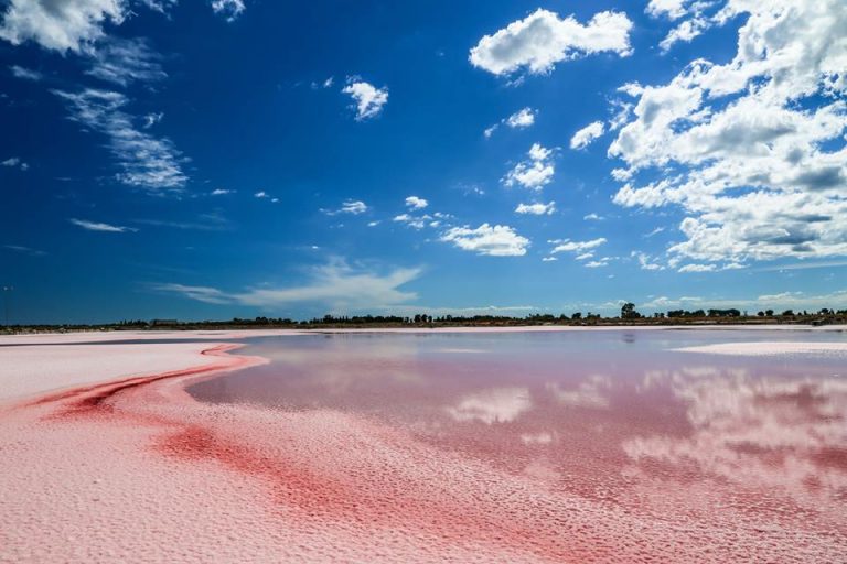 Les trésors de la Camargue au coeur des cosmétiques Eclaé