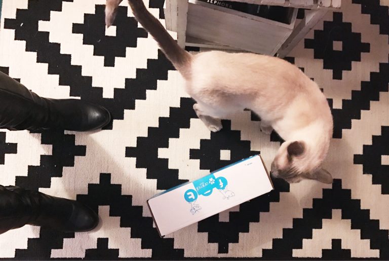 Miaoubox : la découverte de nouveaux produits pour chat
