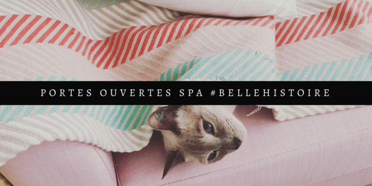 Portes ouvertes SPA : avec votre animal, quelle est votre belle histoire ?