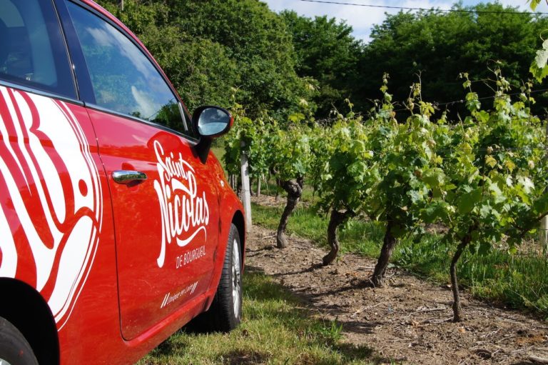 Découverte viticole à la rencontre des vignerons de Saint Nicolas de Bourgueil