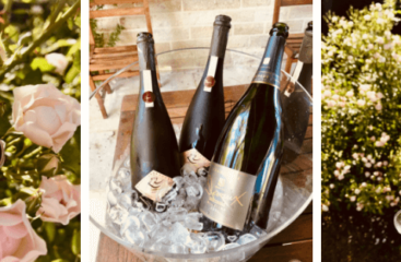 Arts-sur-Seine : pic-nique bucolique au manoir du Champagne Devaux