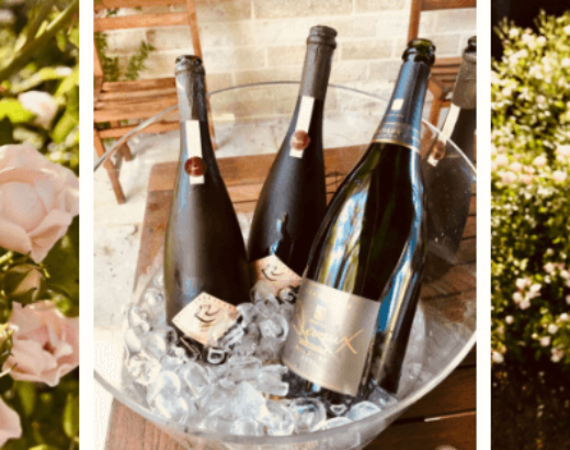 Arts-sur-Seine : pic-nique bucolique au manoir du Champagne Devaux