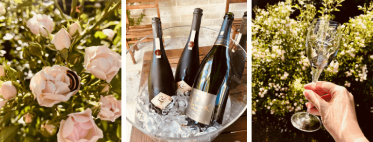 Arts-sur-Seine : pic-nique bucolique au manoir du Champagne Devaux